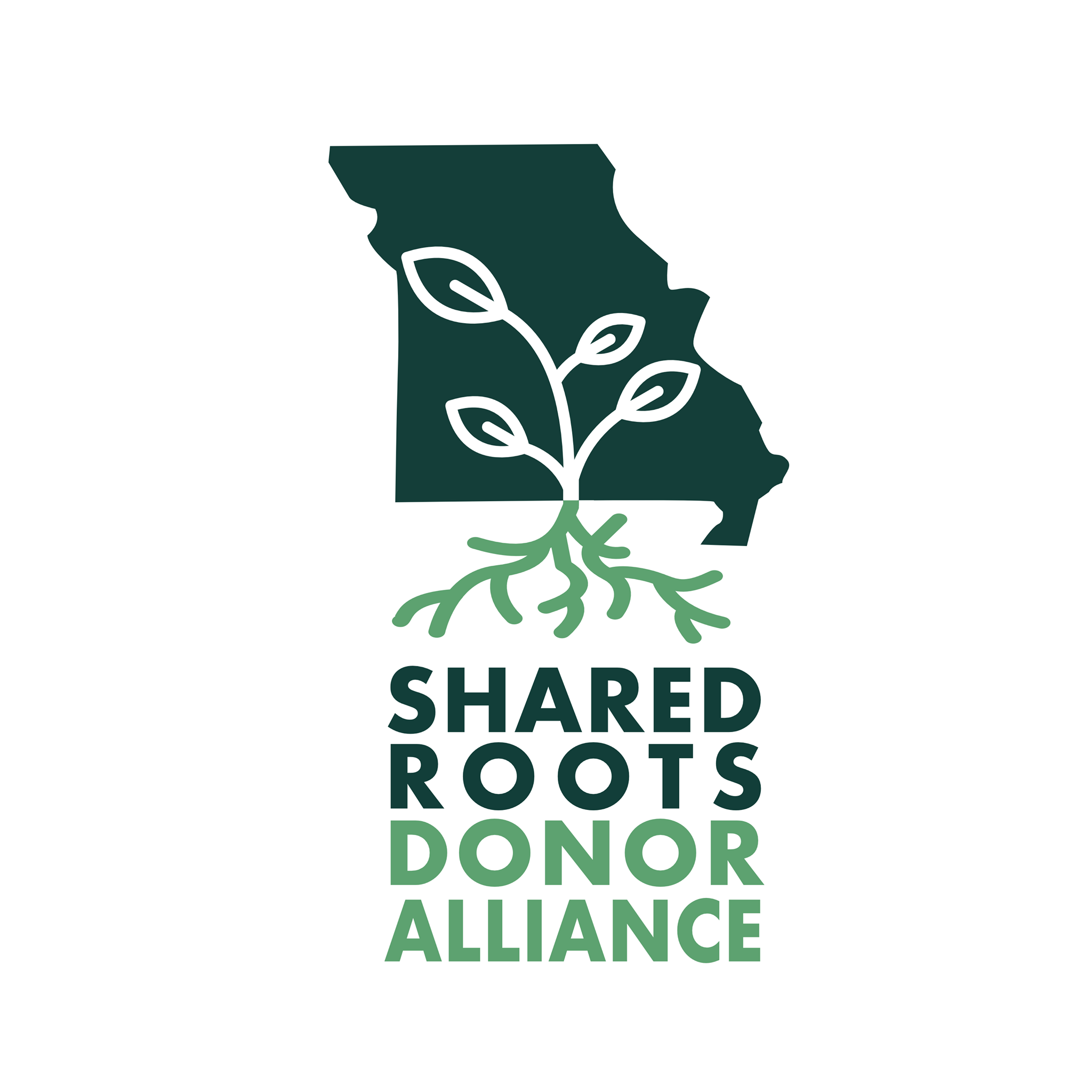 Shared Roots