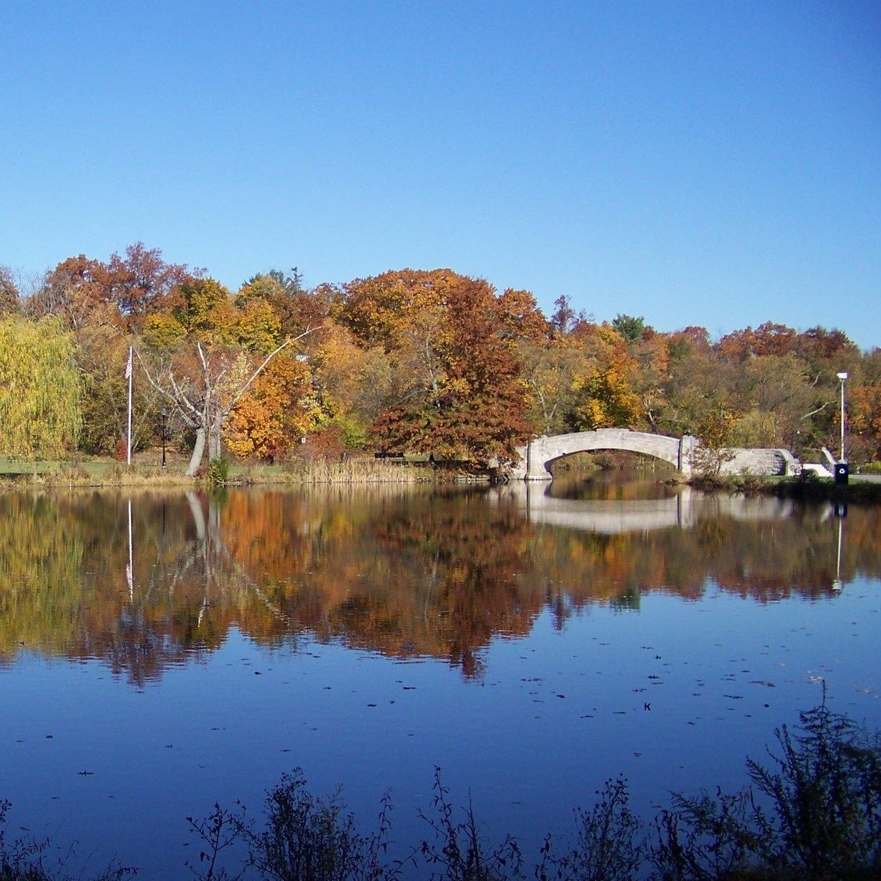 Sustainable Verona | Verona NJ