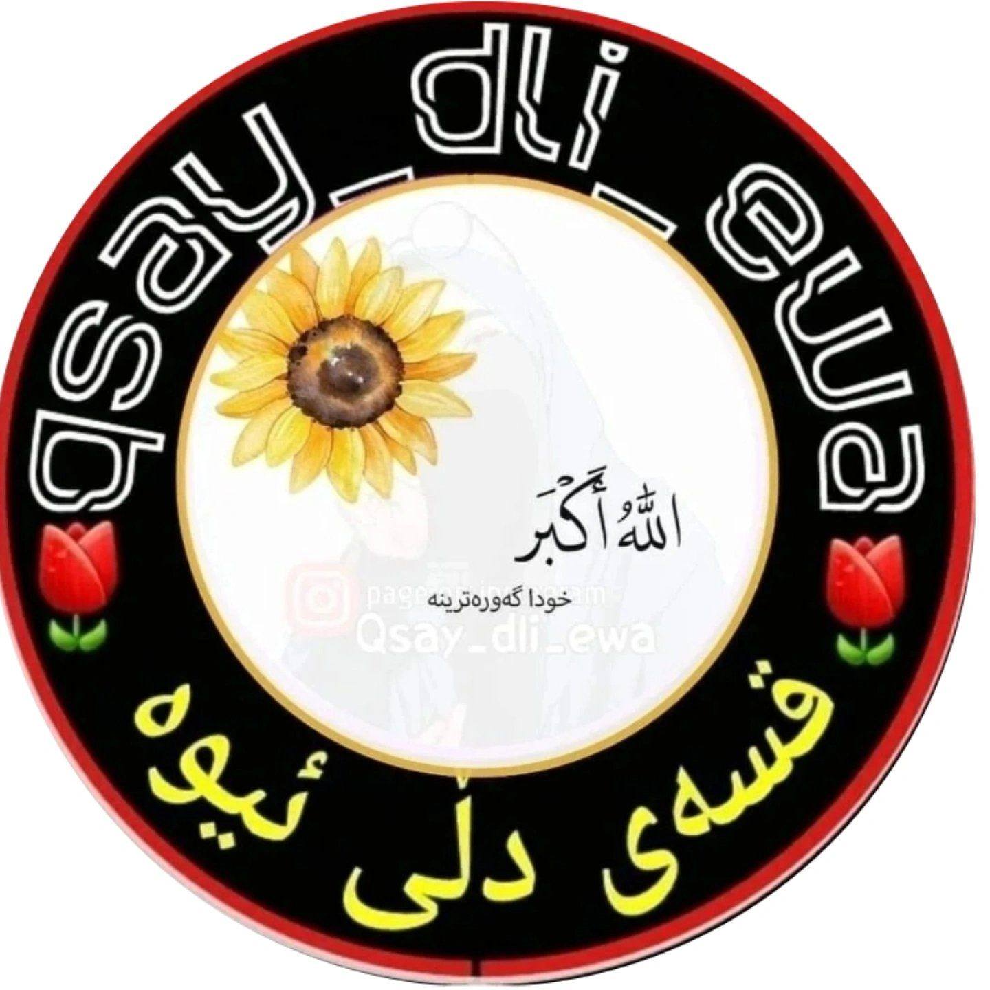 qsay_dli_ewa on Reels