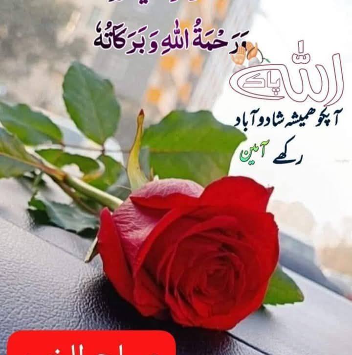 Nur Alam Raj singer and beautician