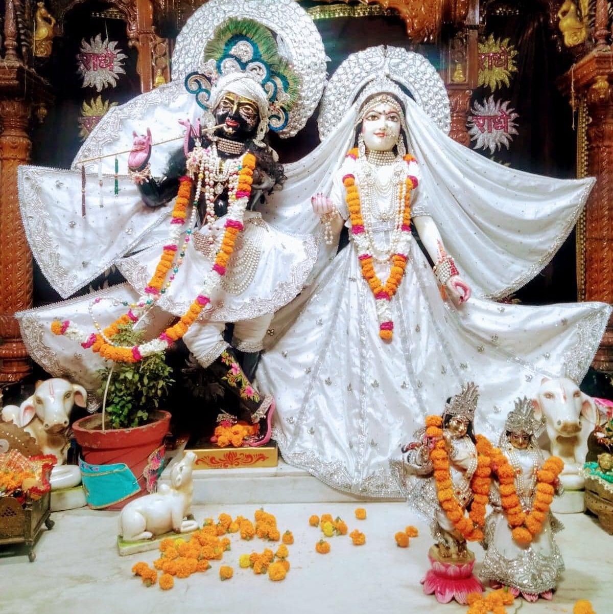 Daata Ji Motivations