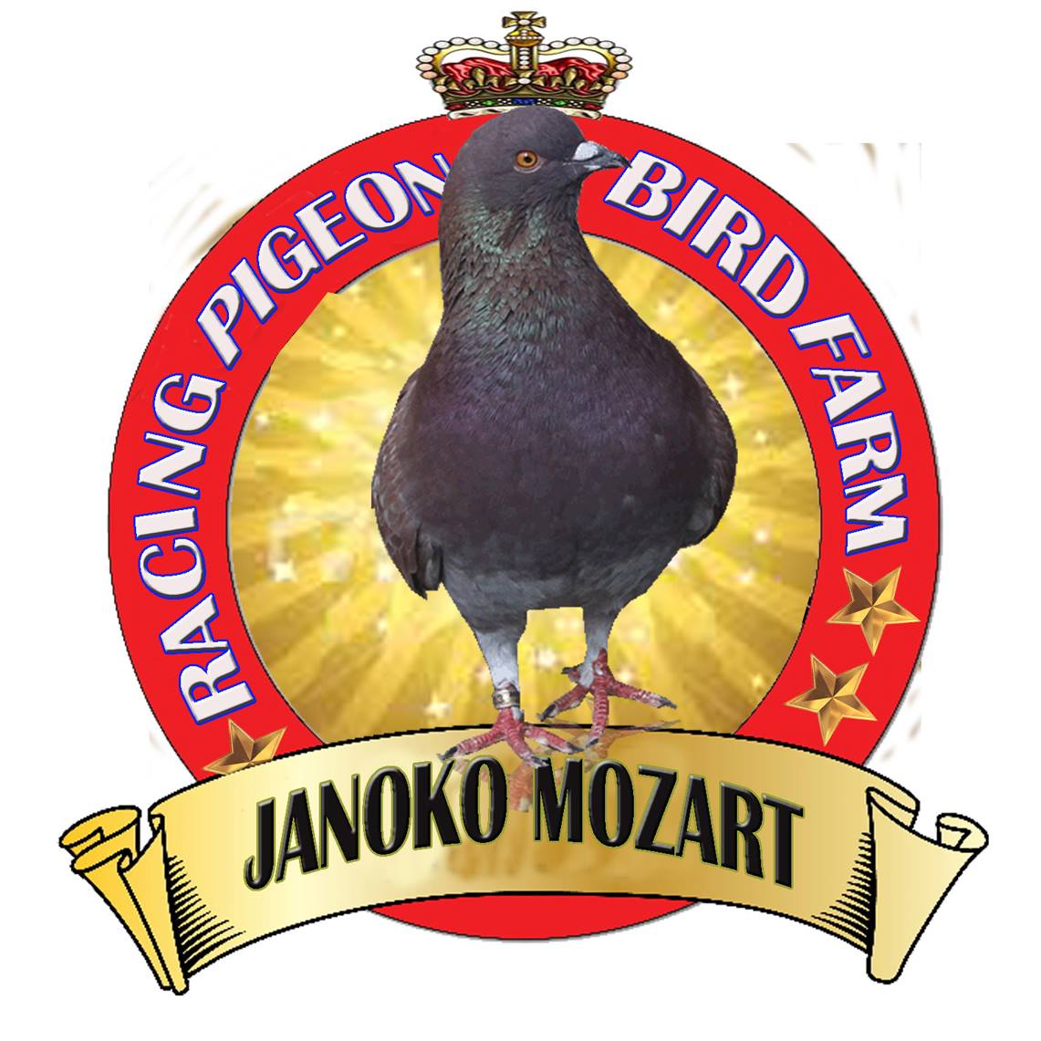 Janoko Mozart - Ppmbsi
