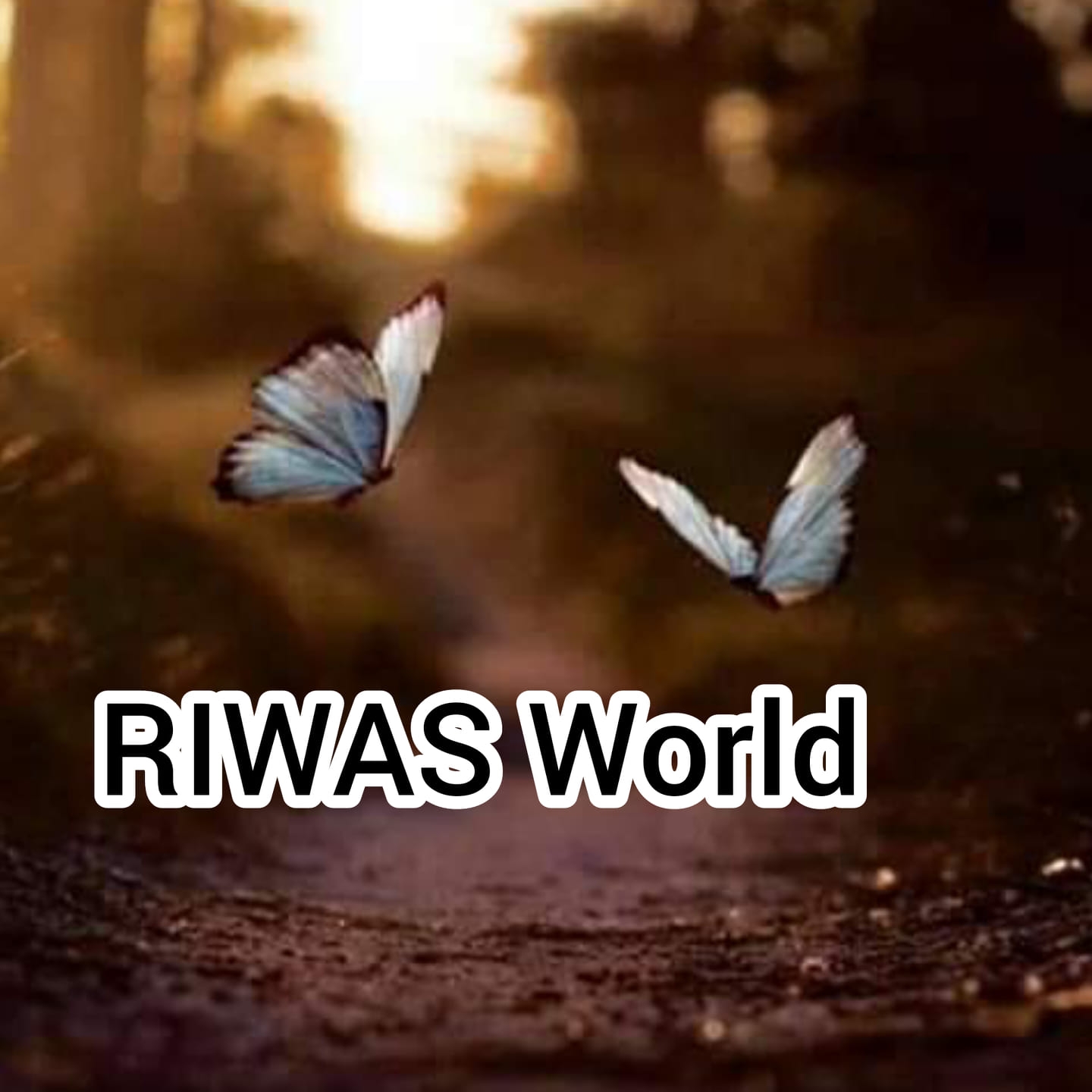 RIWAS World