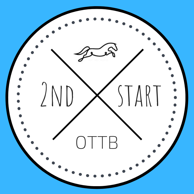 ReinRite Equestrian Training Aid