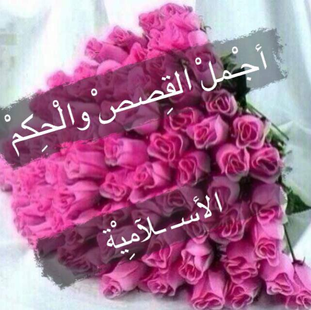 اصبر على اذى كلام الناس فلقد اوذي... - قصص وحكم عن الانبياء | Facebook