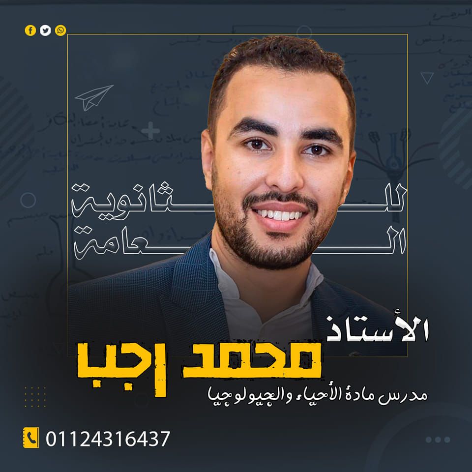 Mr.Mohamed Ragab