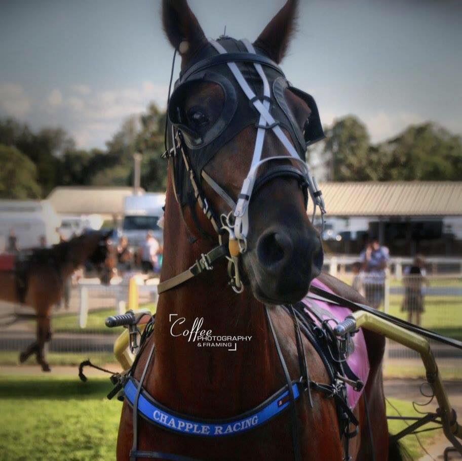 Chapple Racing
