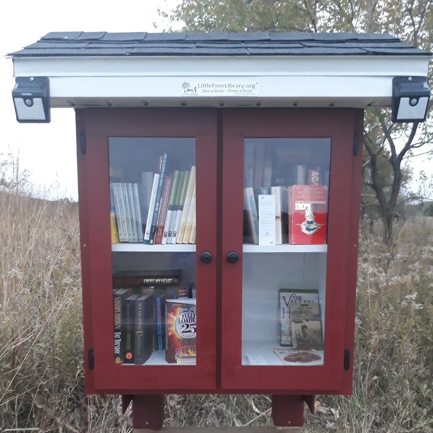 Happy Hollow Little Free Library #80066 | Murrayville IL