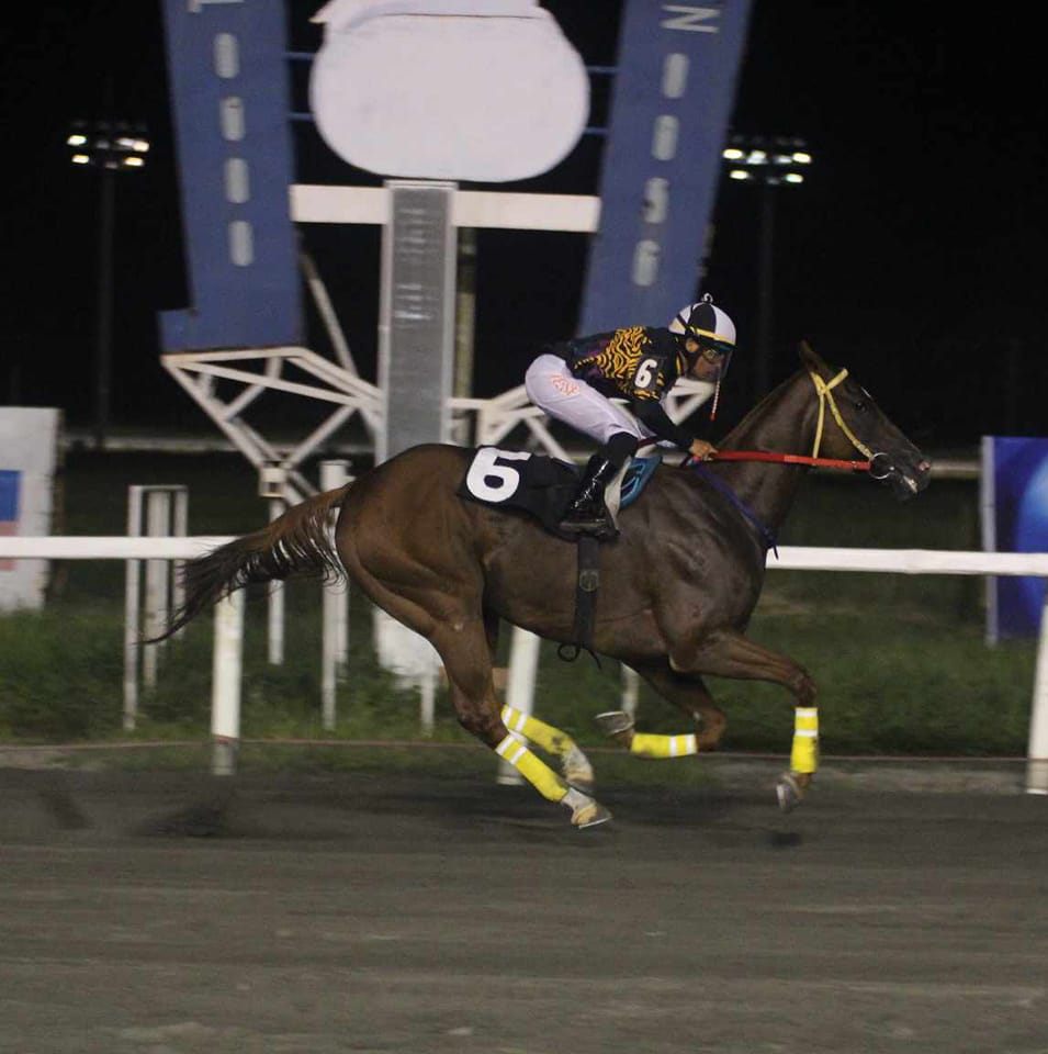 Oktubre Katorse Stable