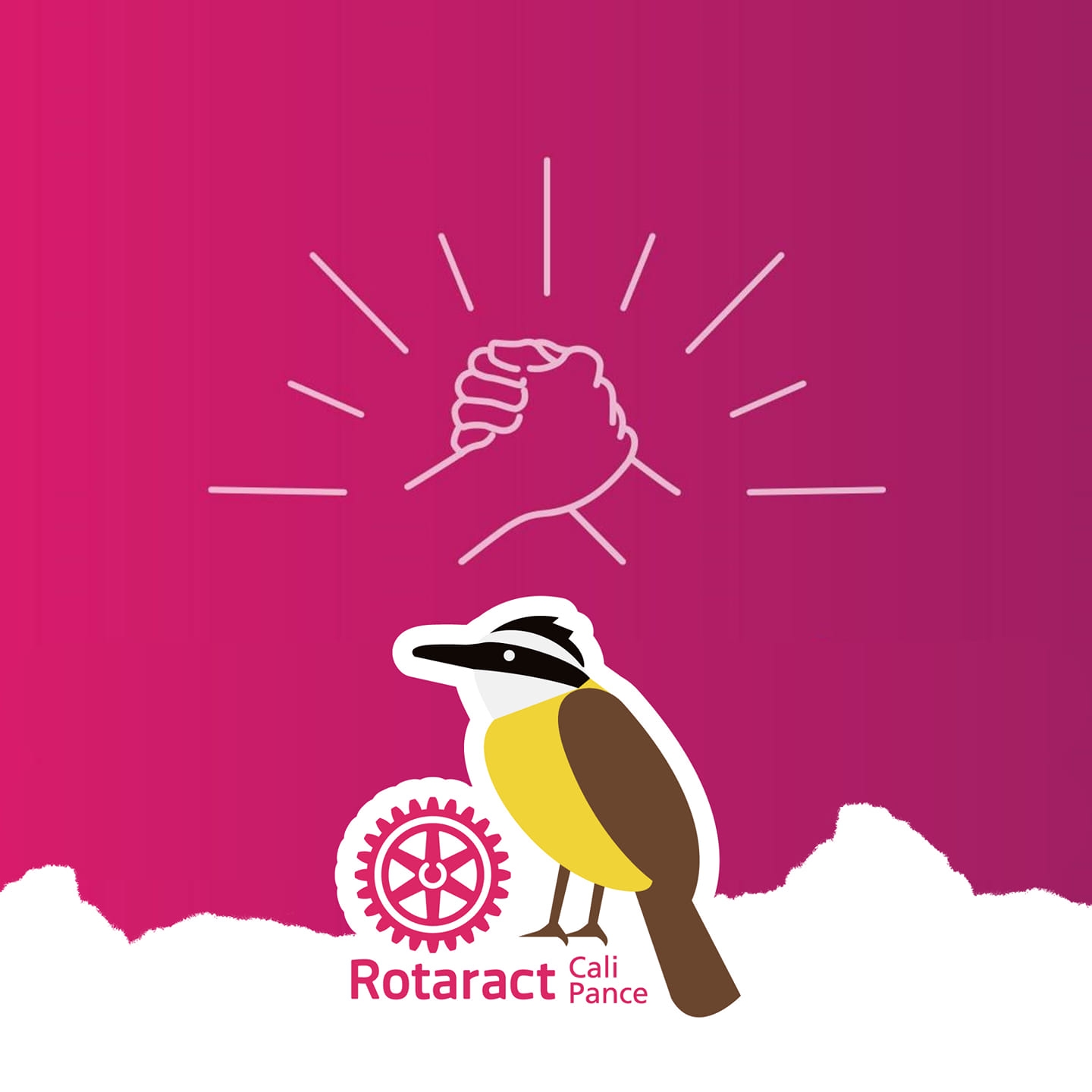 Rotaract Cali Pance