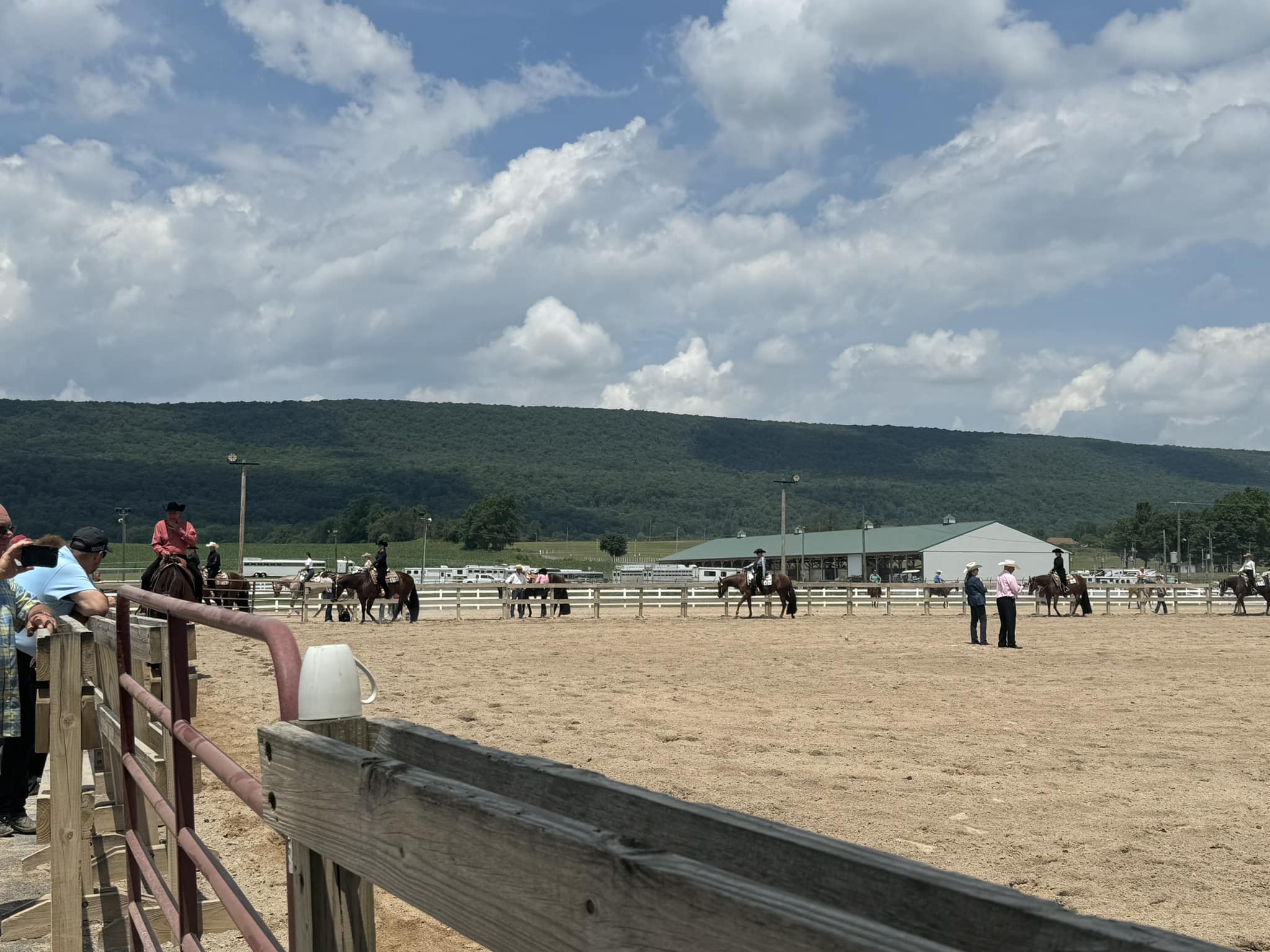 Beautiful afternoon 78... - Mark Harrell Equine Marketing