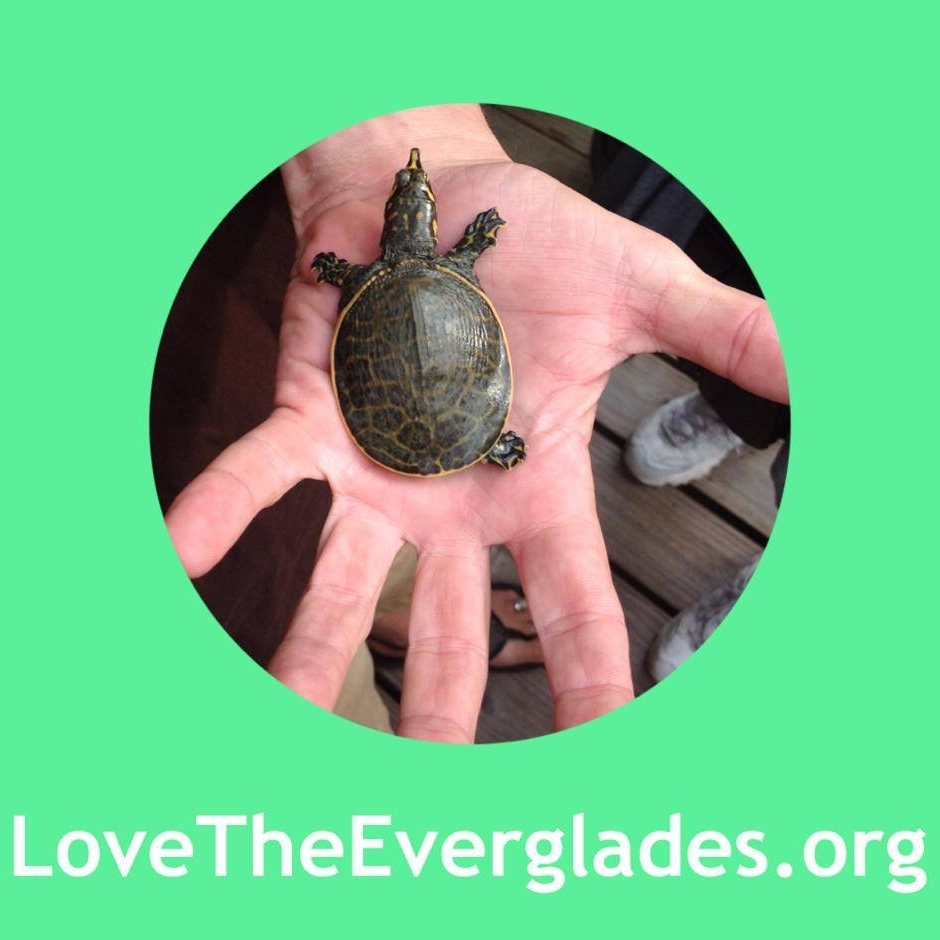 The Miccosukee Arts &... - Love The Everglades Movement | Facebook