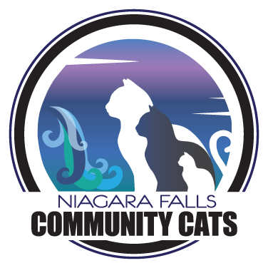 Niagara Falls Community Cats | Niagara Falls ON