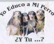 Escuela de adiestramiento victor cuesta