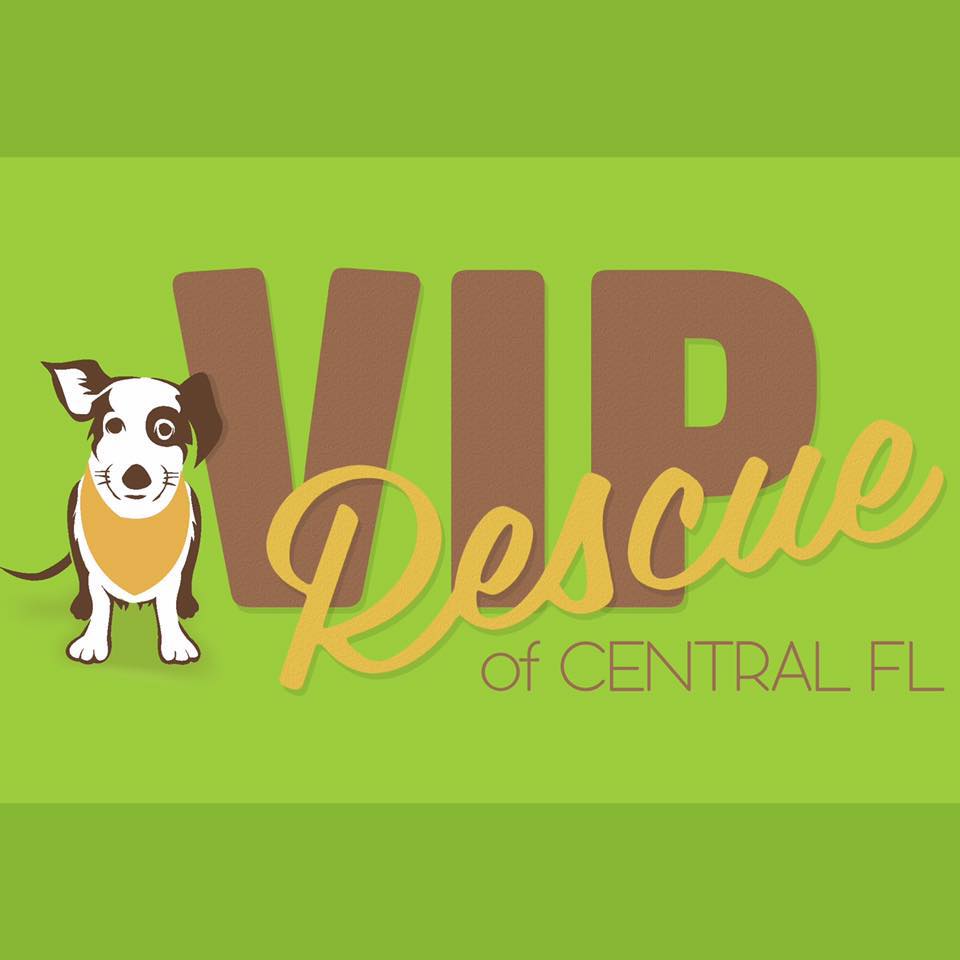 VIP Rescue of Central... - VIP Rescue of Central Florida