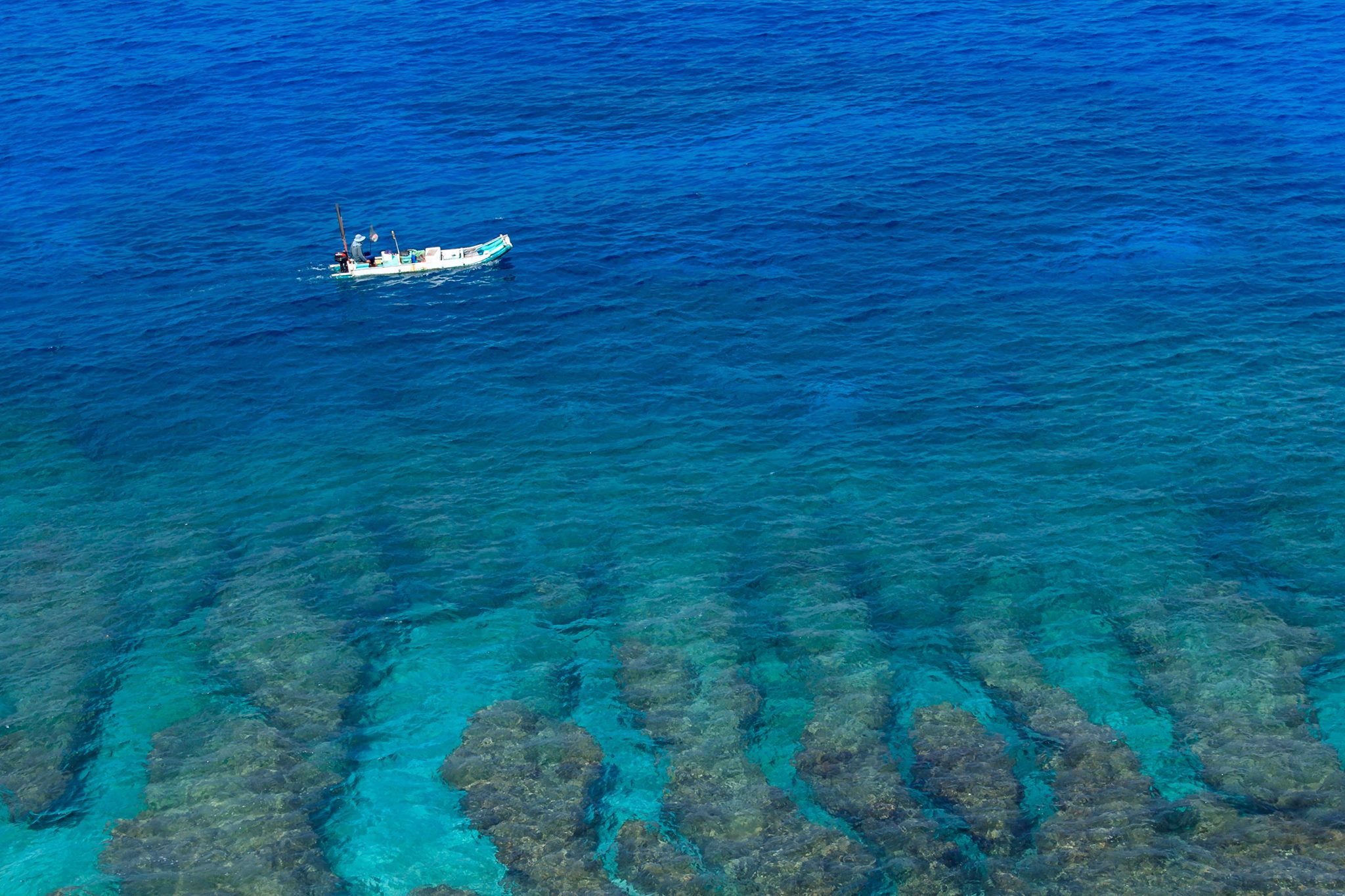滔滔 Ocean says - [海獺好朋友] 海獺（Enhydra lutris）在19世紀初期一度因為大規模的商業獵捕而面臨滅絕危機，不過 ...