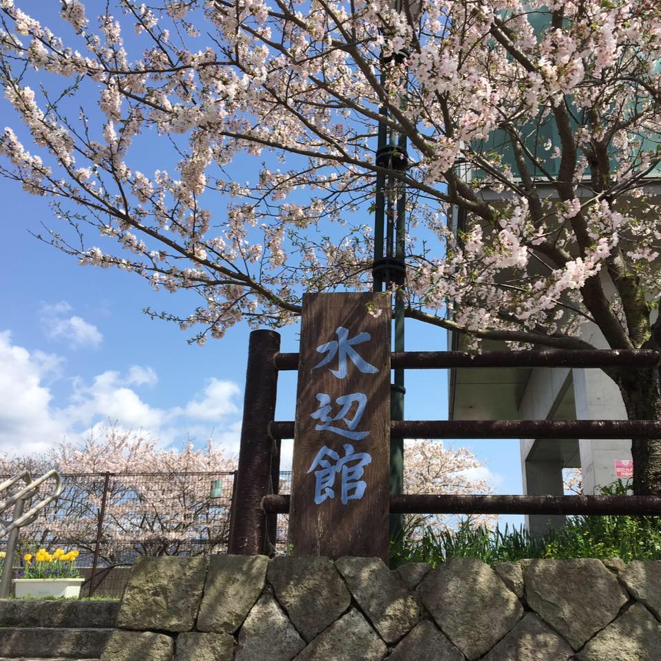 当時のメディア報道・掲載写真