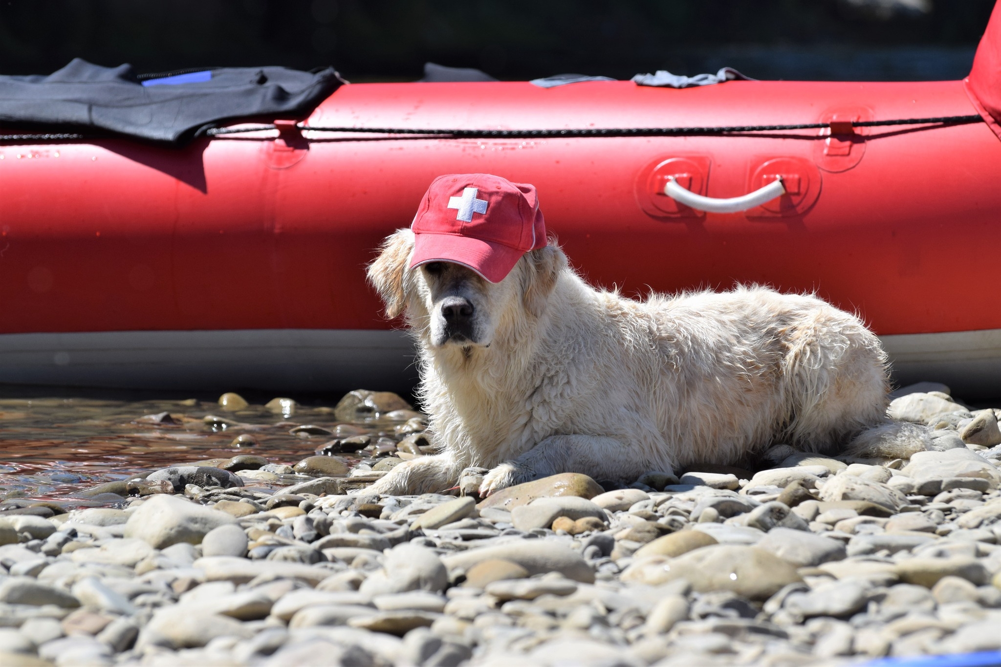 Rescue First Aid