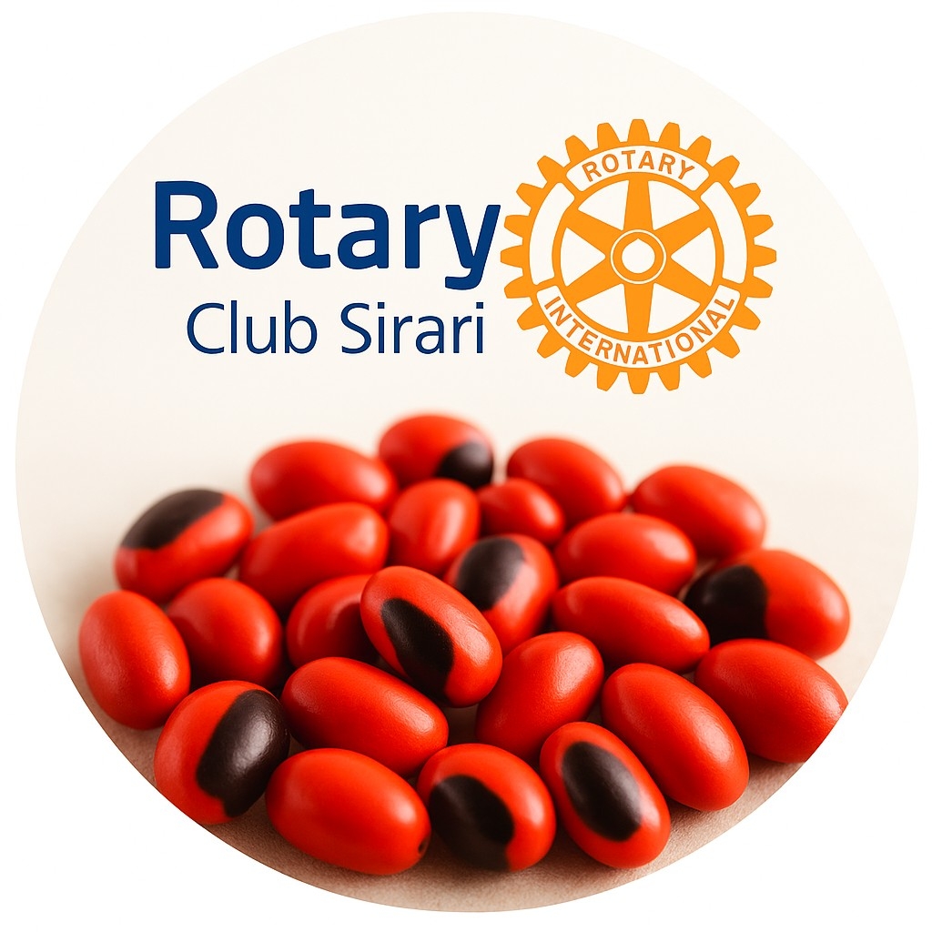 Rotary - 💙 Noviembre es el Mes de la Fundación Rotaria 💙 La Fundación ...