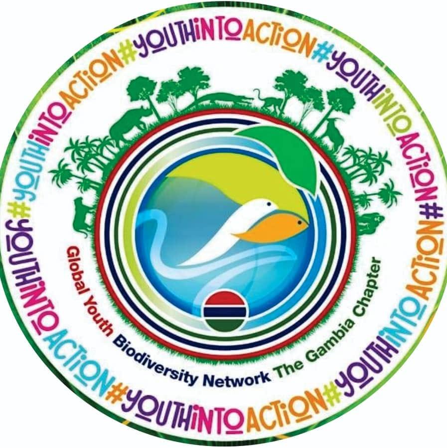GYBN- The Gambia Chapter