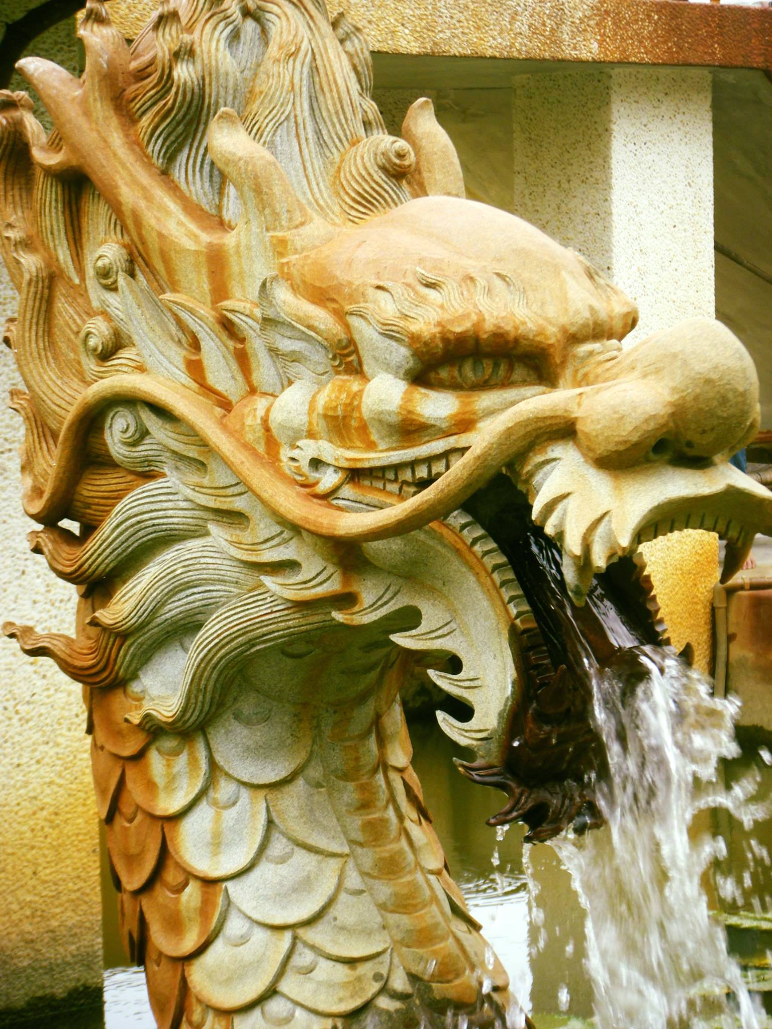 玉簧雅緻
