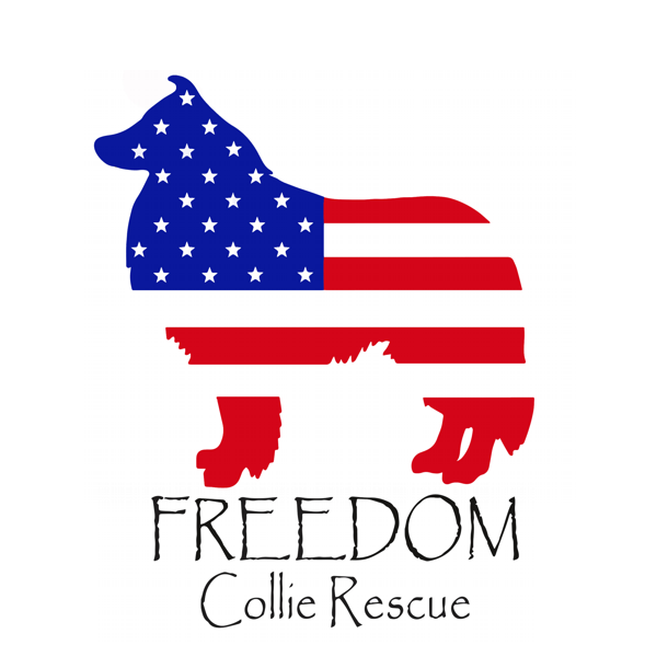 Welcome to Cookie! This... - Freedom Collie Rescue, Inc. | Facebook
