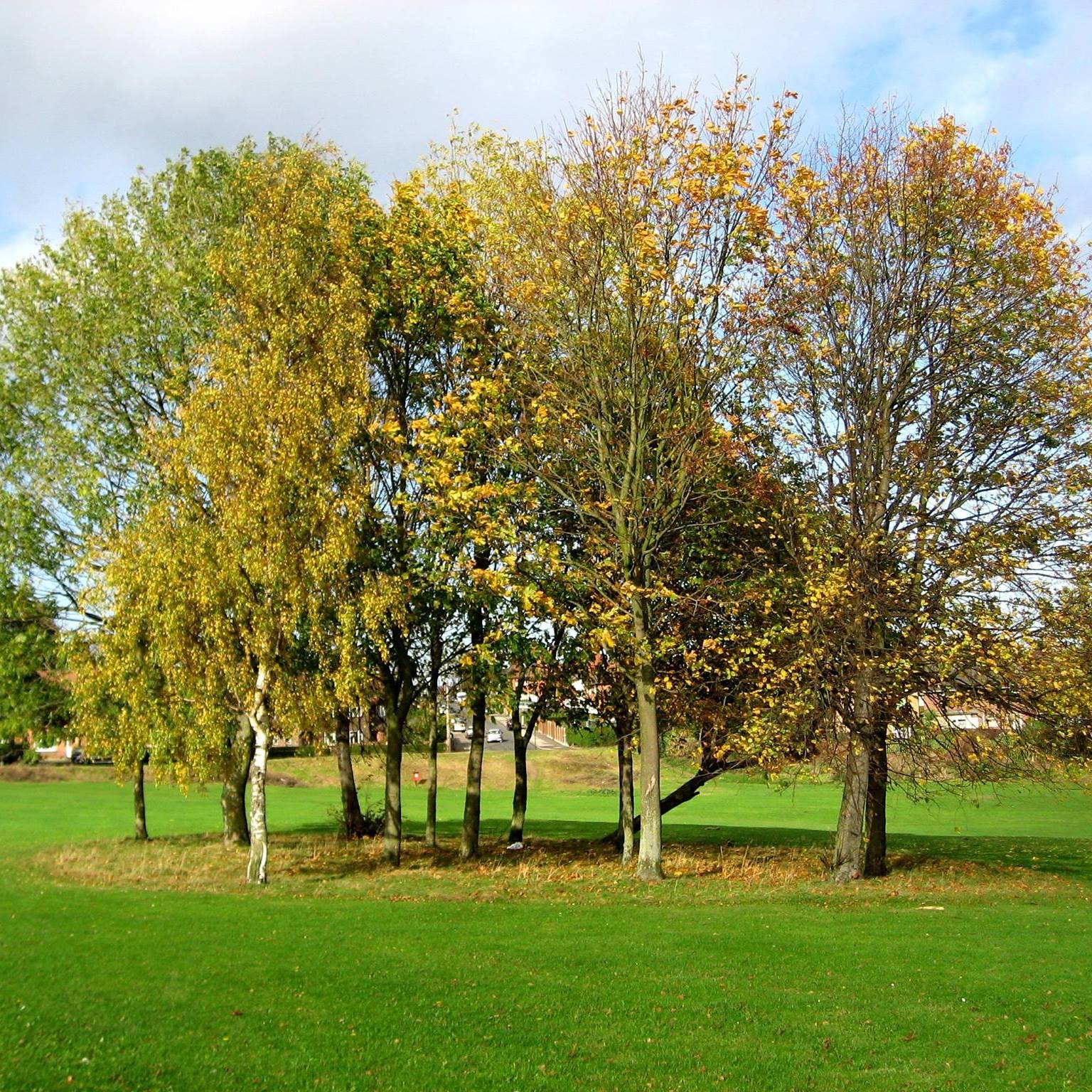 Colwick Woods Conservation Group | Nottingham