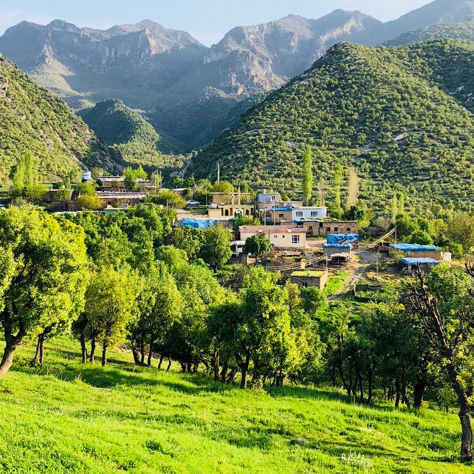 گوندی ده رگه لا موسا به گ
