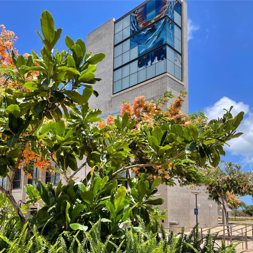 University of Hawaiʻi - West Oʻahu Library | Kapolei HI