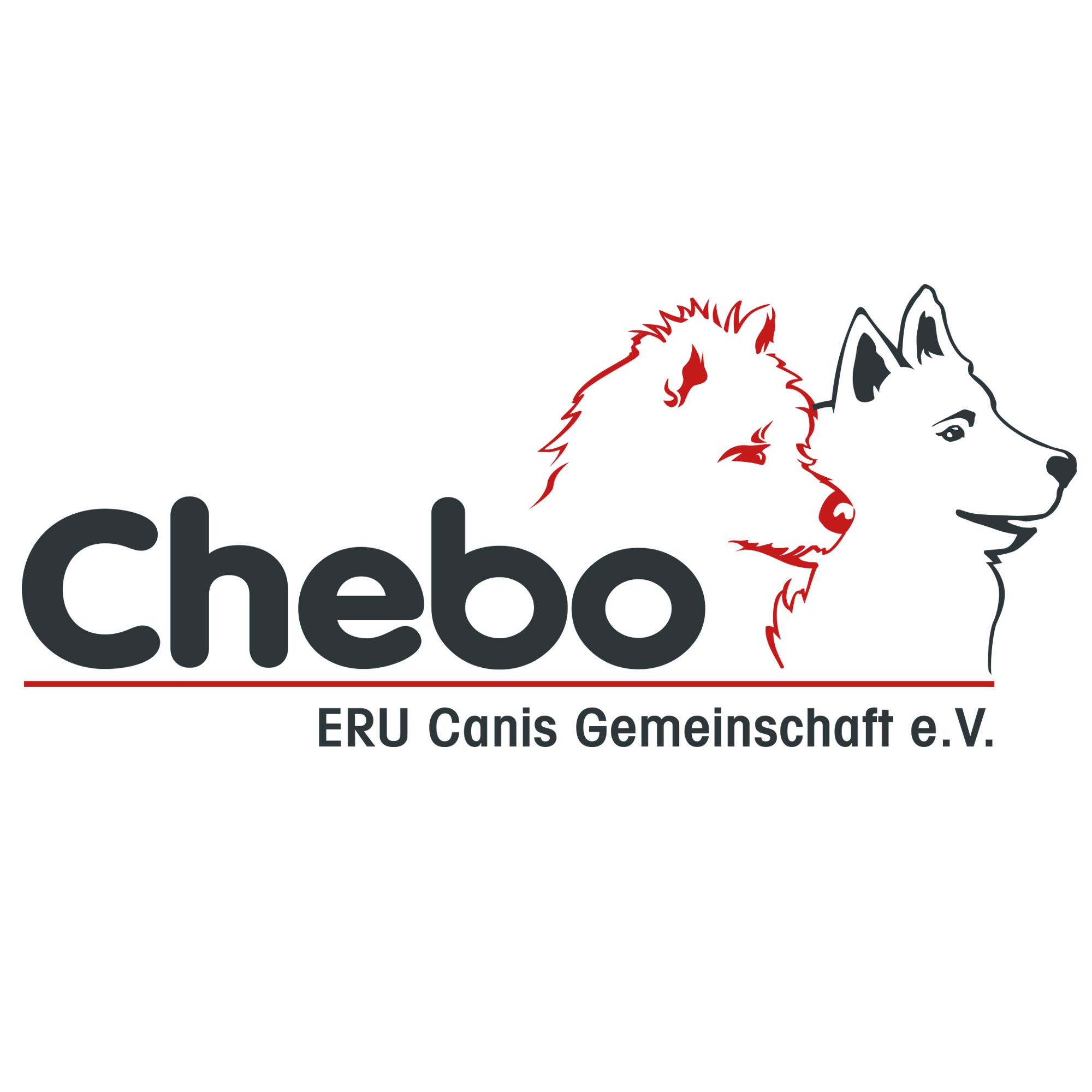 Chebo uit het Dinkeldal