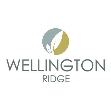Wellington Ridge | Lawrenceville GA