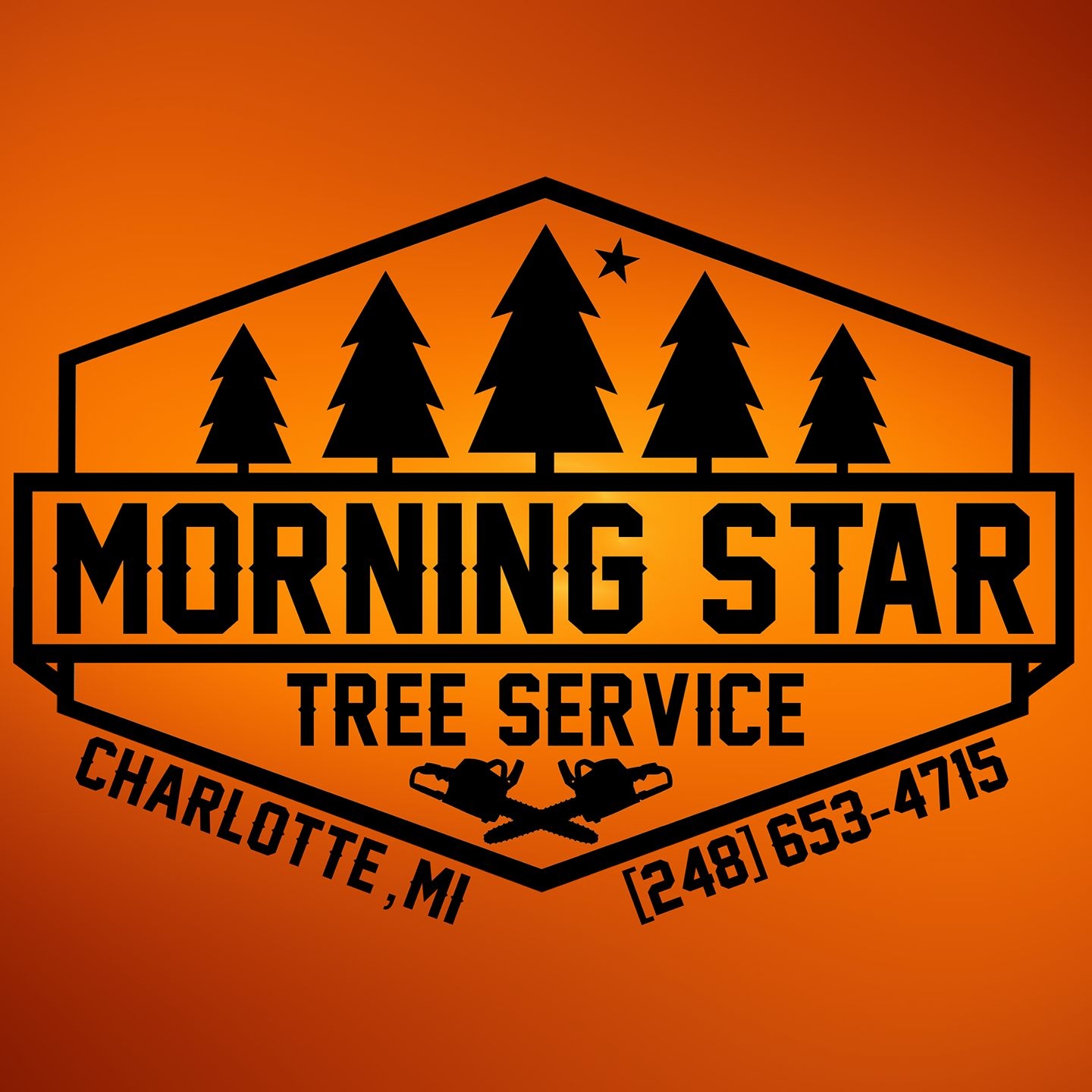 Morning Star Tree Services | Charlotte MI