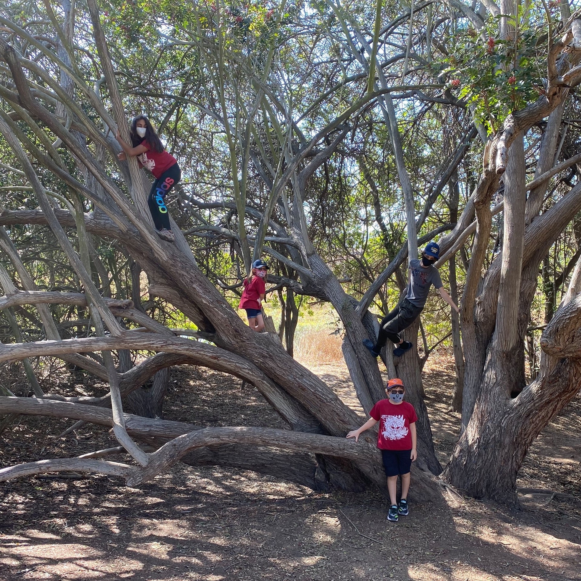 HomeSchool Scouting in Orange County - OCBSA