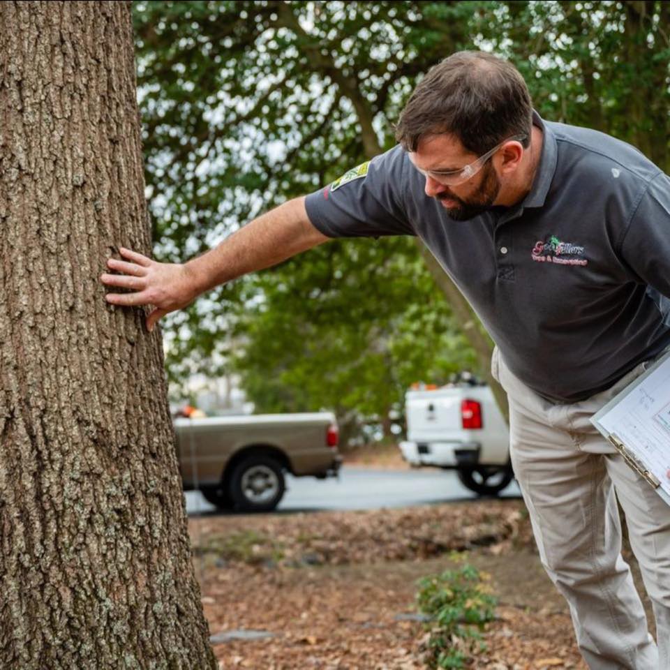 Goodfellers Tree Service Inc. | Fredericksburg VA