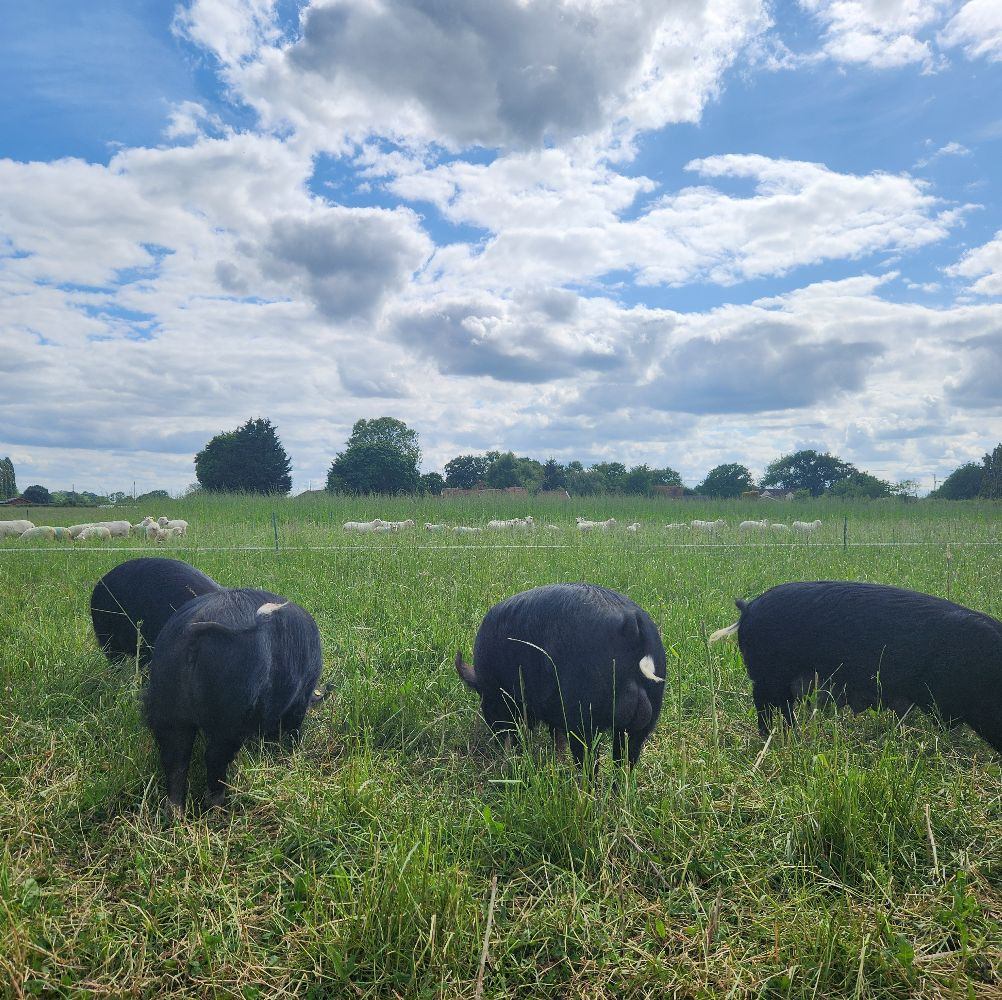 Maypole Pork | Bury St. Edmunds