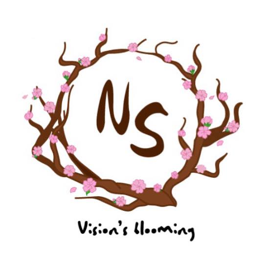 NS Design Studios
