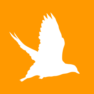 Profile for Sunbirdie