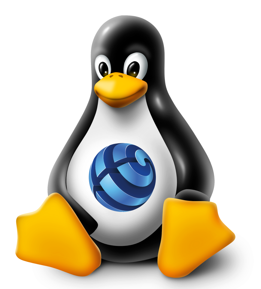 Servere Linux