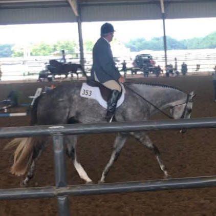 Tri-State Horse Shows | Please join us for our fun show Sept 19 & 20 at ...