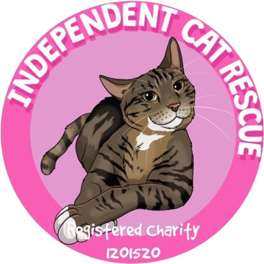 Independent Cat Rescue Prestwich Registered Charity- 1201520