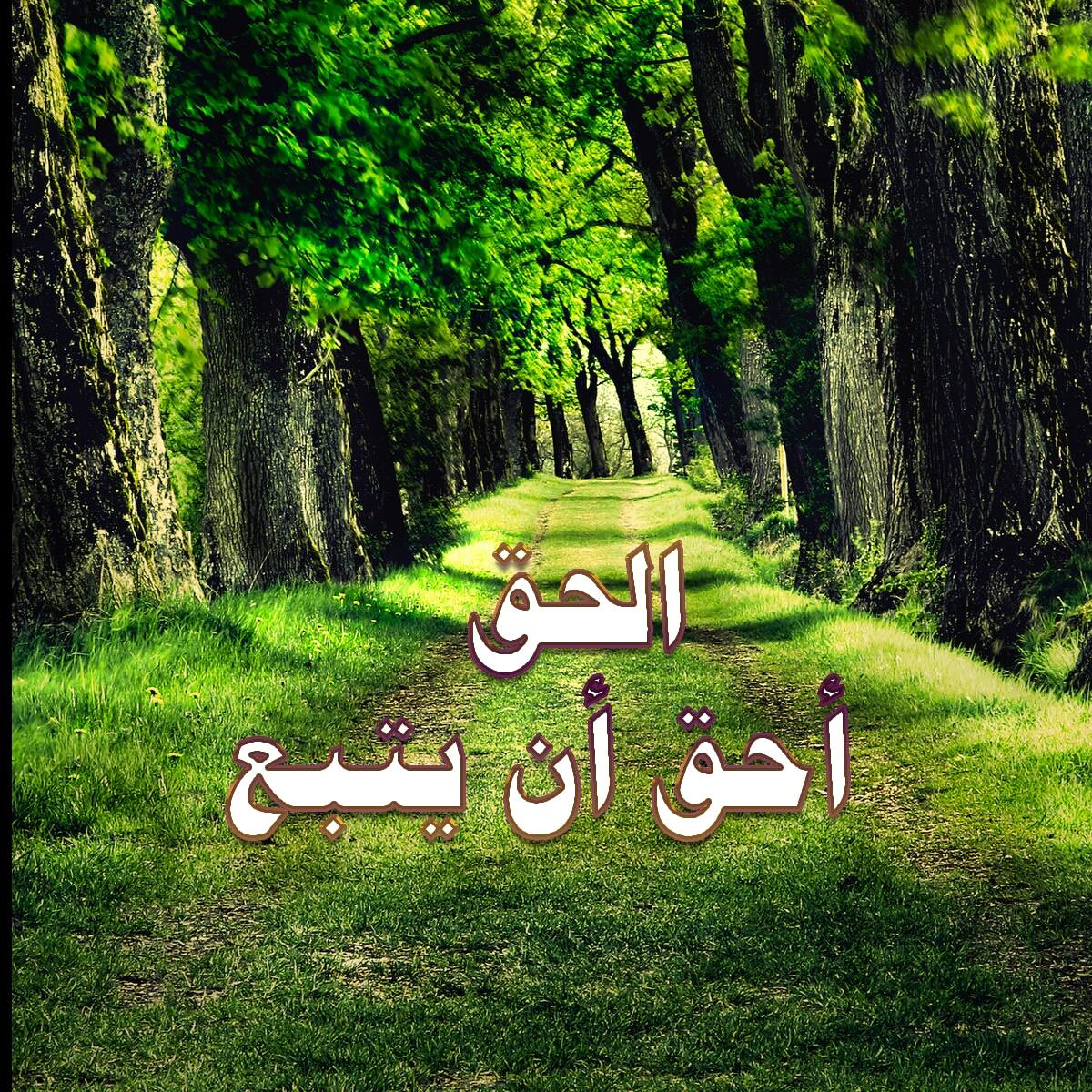 الحق أحق أن يتبع