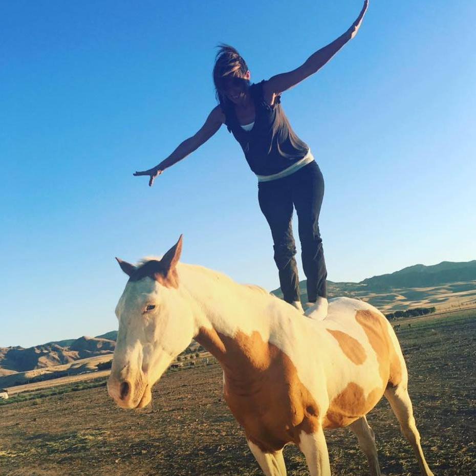 Equine Rescue Center | Sonora CA