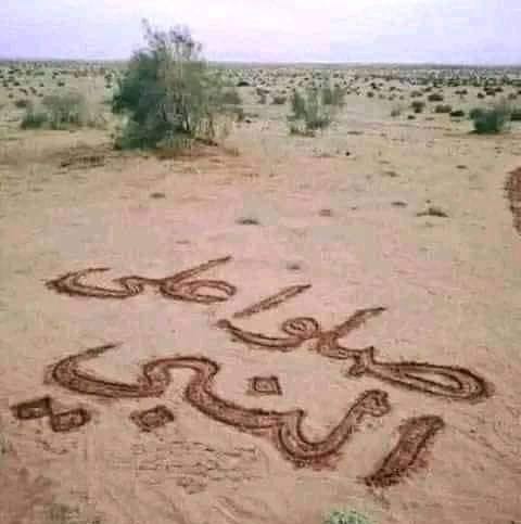دردیدلی مظلوم