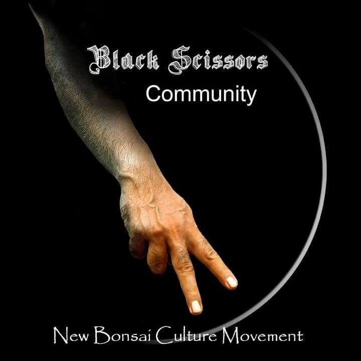 Black Scissors Community South Africa