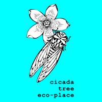 Profile for Cicada Tree Eco-Place