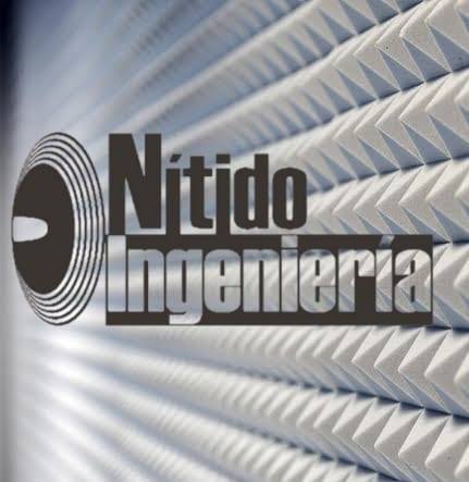 Nítido Ingeniería