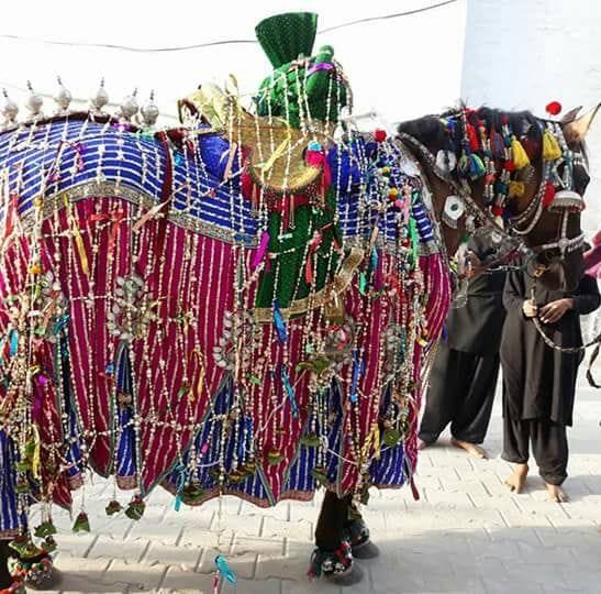 Noha khuwan party Ghulaman immam raza as Rojhan