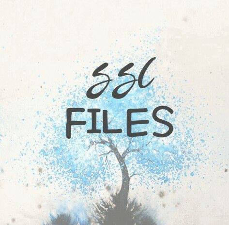 STE FILES