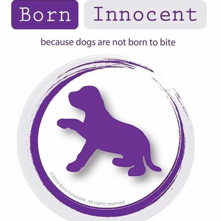 Born Innocent | London