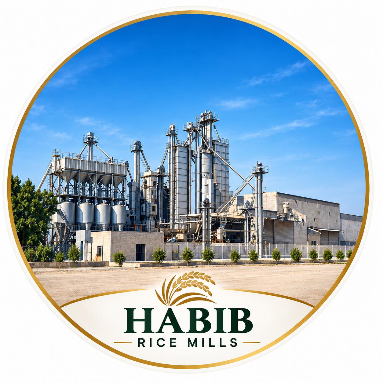 Habib Rice Mills Liaquatpur | Liaquatpur
